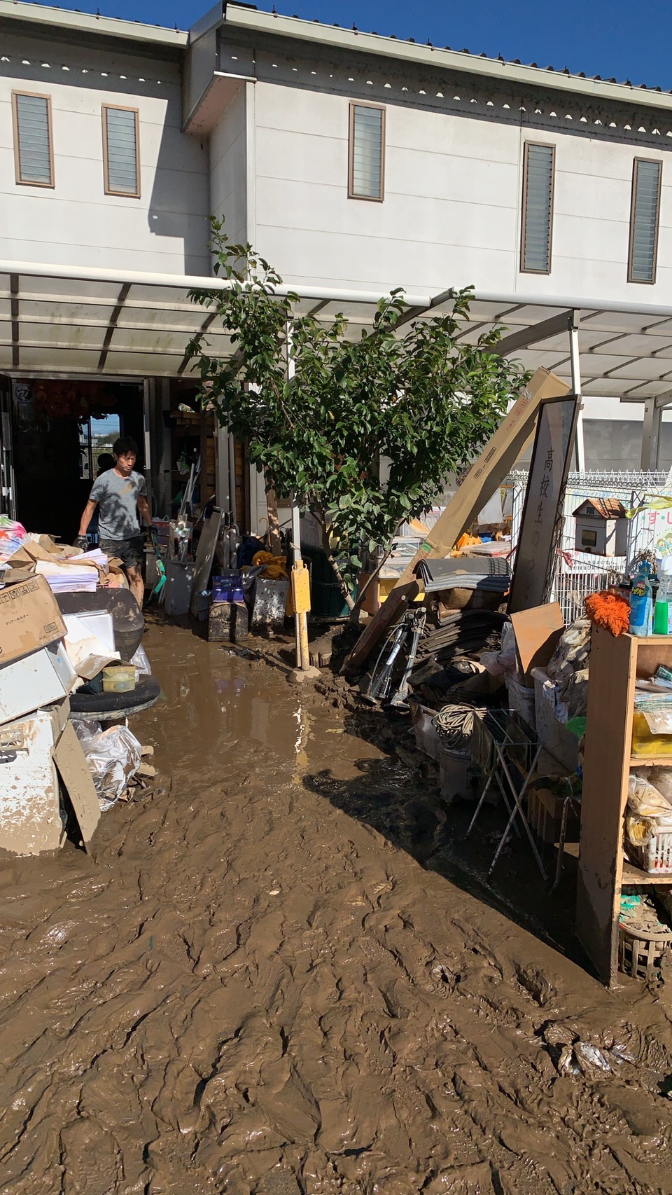 1571009961050.jpg?v=20201026161612